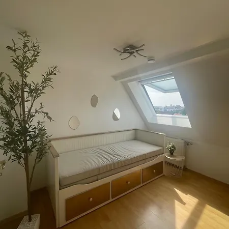 Sky Loft 3-room Duplex 奥格斯堡